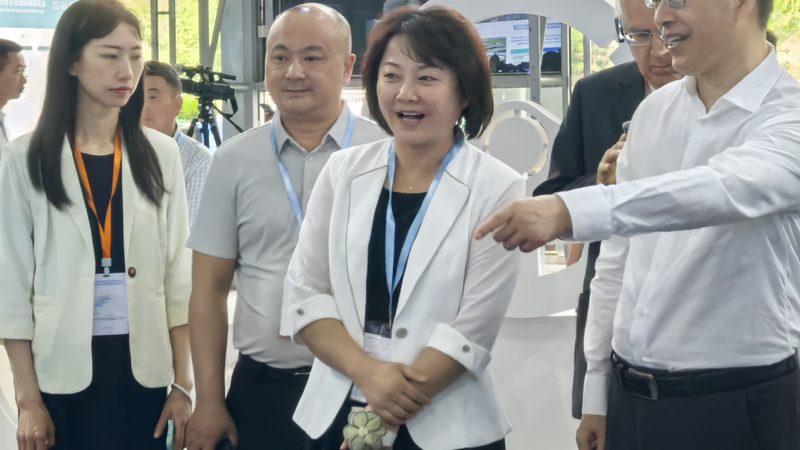 汽车方向盘套定制材质怎么选？揭秘材质背后的秘密